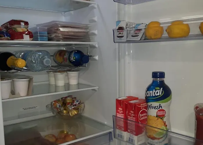 Dream بولونيا